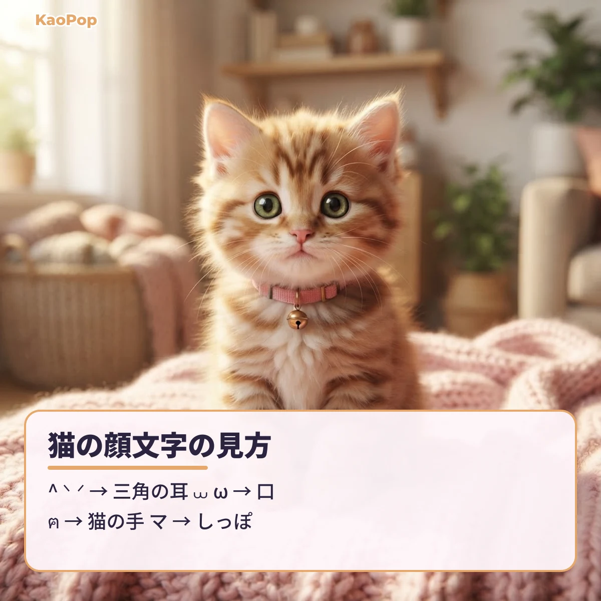 猫の顔文字の耳・口・手・しっぽの記号の見方
