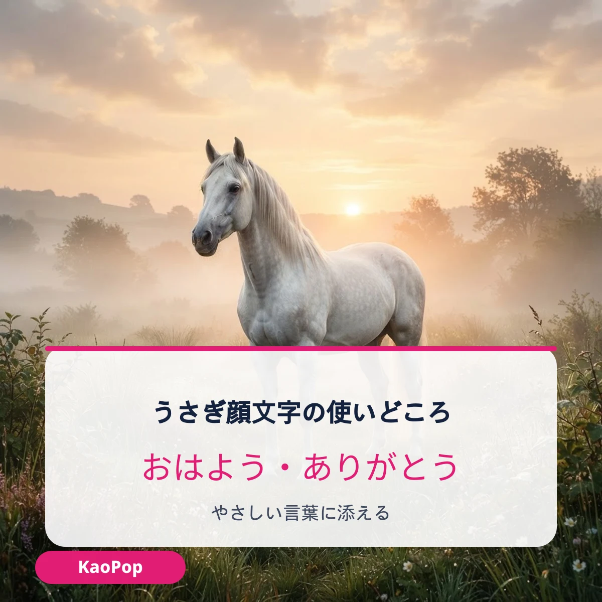 うさぎの顔文字を使う場面の例